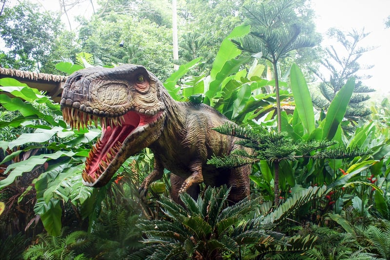 Prehistoric Jungles